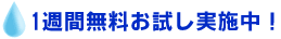 NN1TԖ{I